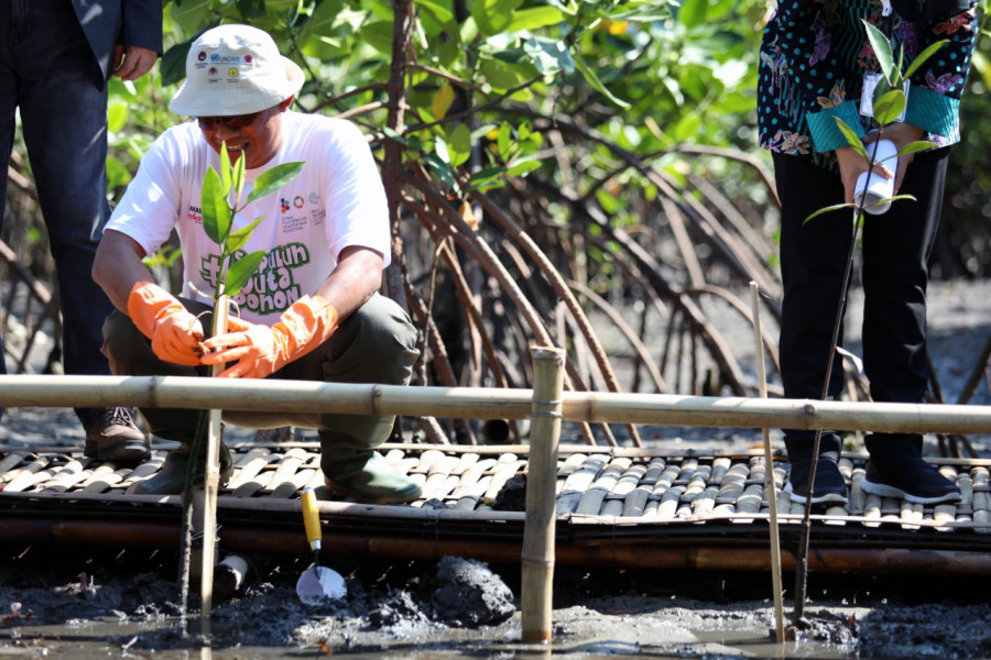 Kepala BNPB Letjen TNI Suharyanto S.Sos., M.M., menanam bibit pohon bakau di Pantai Mertasari, Denpasar Timur, Bali, Selasa (24/5).