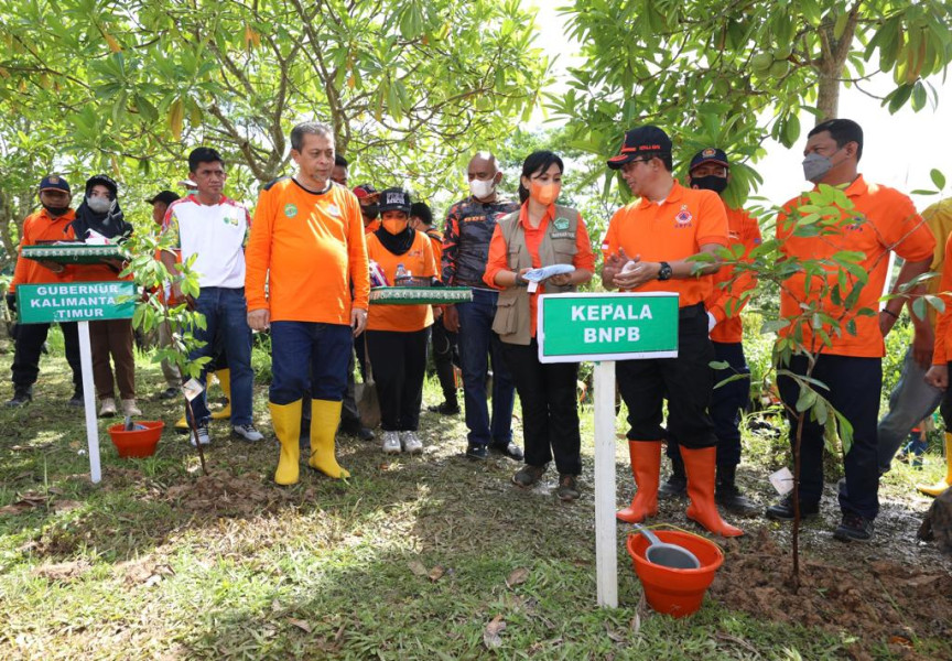 Kepala BNPB Letjen TNI Suharyanto (depan kanan) usai melakukan penanaman bibit pohon di Kota Balikpapan, Kalimantan Timur, Jumat (14/10).