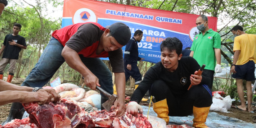 Pelaksanaan Kurban Idul Adha Tahun 2022 di Lingkungan BNPB