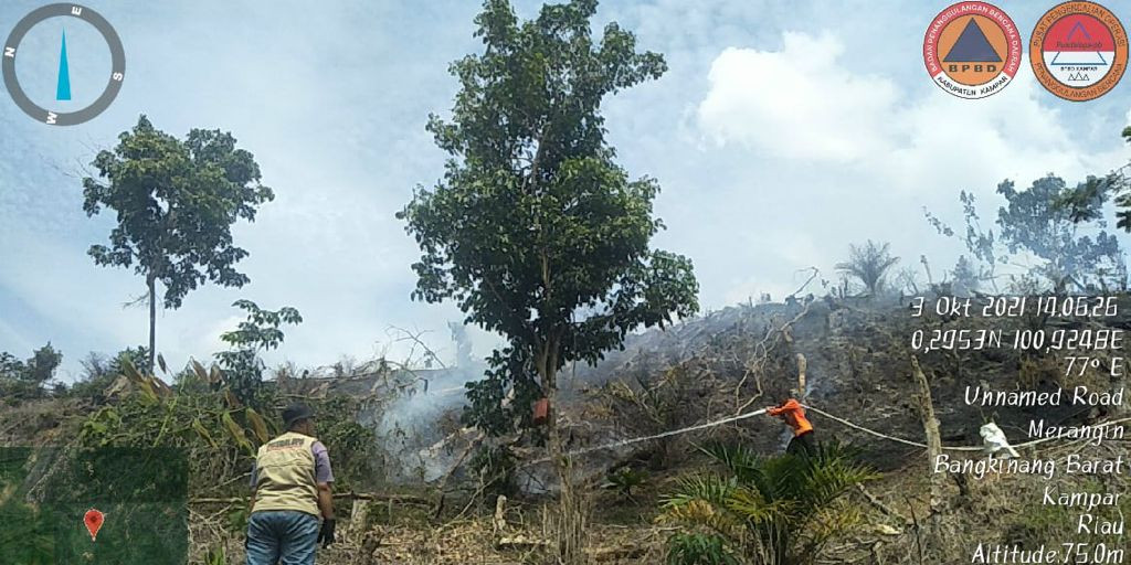 Tim Reaksi Cepat Berhasil Padamkan Kebakaran Lahan di Kampar