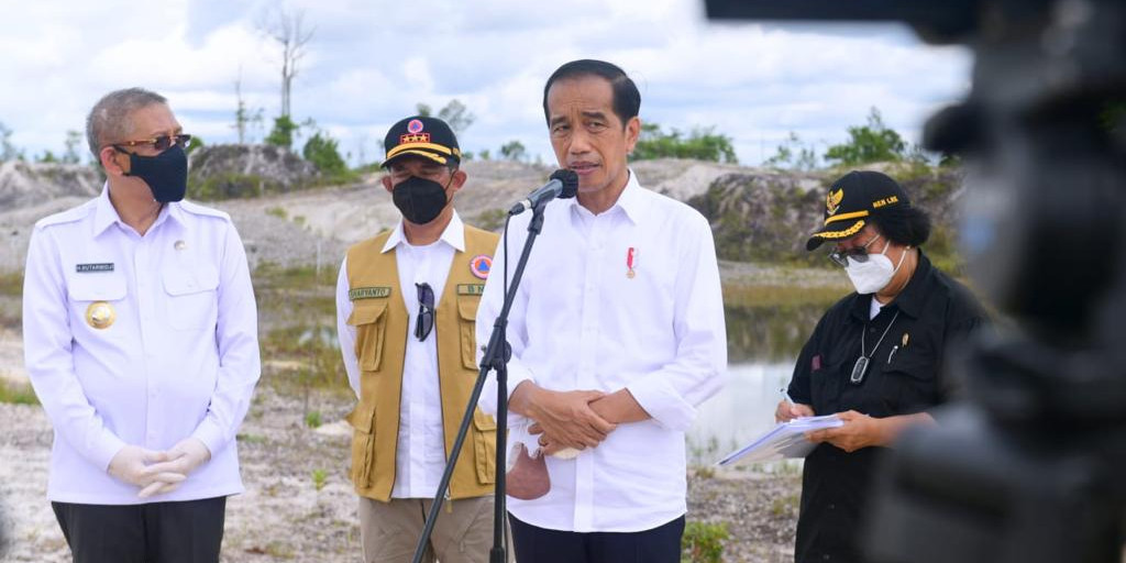 Rehabilitasi Kerusakan Hutan, Presiden Jokowi Tanam Pohon di Area Bekas Tambang