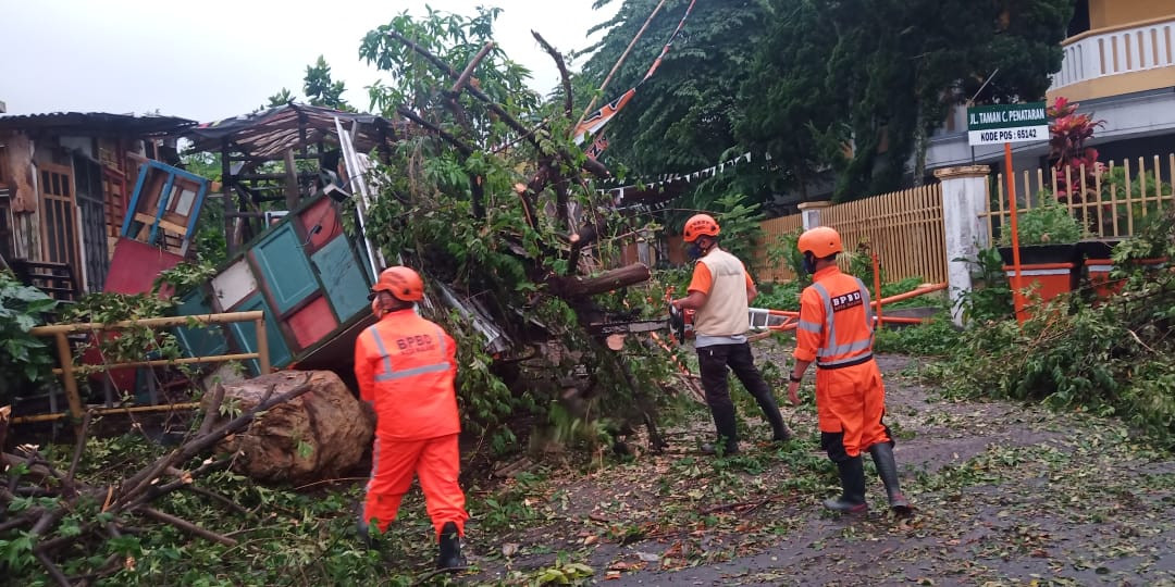 Hujan Disertai Angin Kencang Terjang Kota Malang, Candi Hingga Fasilitas Umum Alami Kerusakan