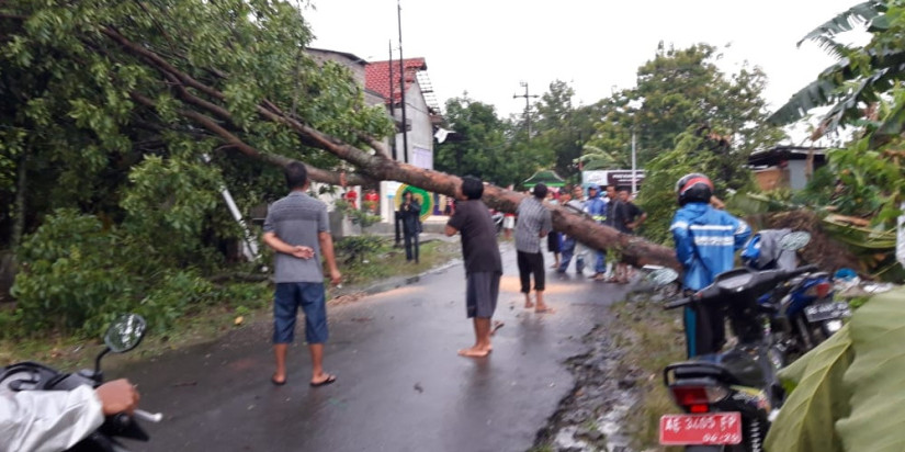 Angin Kencang Terjang Enam Desa di Madiun