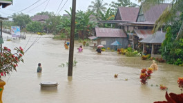 Banjir Wajo Rendam 2.415 Rumah Warga Dua Kecamatan