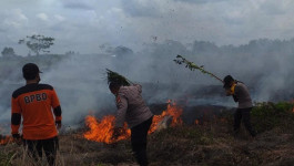 Lima Hektar Lahan di Kalteng Kebakaran, Waspada Awal Musim Kemarau