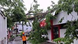 Cuaca Ekstrem, Wilayah Kendal Dilanda Bencana Hidrometeorologi Bertubi-tubi