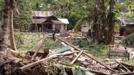 [UPDATE]: Banjir Bandang Banggai, 178 Hewan Ternak Mati