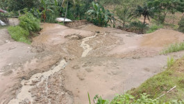 Tanah Longsor di Cilacap Telan 18 Hewan Ternak, Jalan Desa Lumpuh Total