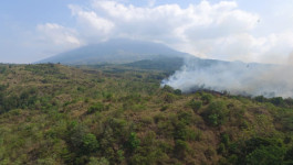 Hutan dan Lahan Seluas 95 Hektar di Gunung Ciremai Dilumat ’Si Jago Merah’, Api Kembali Menyala