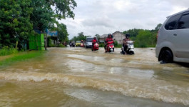 Lima Kecamatan Terdampak Banjir di Kabupaten Pati Telah Surut