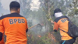 Tim Gabungan Berhasil Padamkan 2 Hektar Lahan Terbakar di Sukamara