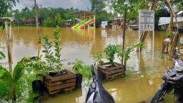 Banjir Hingga 80 Sentimeter, Akses Jalan di Aceh Tamiang Terputus