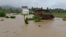 Sebanyak 38 Rumah Warga di Buol Terendam Banjir