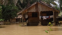 Dua Desa Terendam Banjir di Langkat