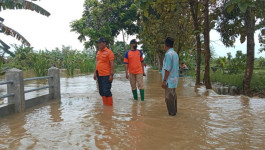 Saluran Irigasi Meluap, 60 KK di Lamongan Kebanjiran