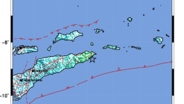 Warga Maluku Barat Daya Rasakan Guncangan Kuat Gempa M 6.5