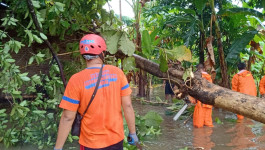 Bencana Hidrometeorologi Basah Terjang Wilayah Kendal