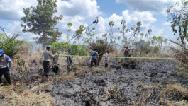 BPBD Pulang Pisau Berhasil Padamkan 4 Hektar Lahan Terbakar