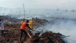 Api Bakar Hutan dan Lahan Beberapa Gampong Aceh Selatan