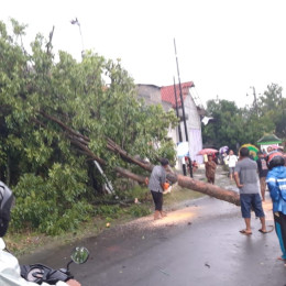 Angin Kencang Terjang Enam Desa di Madiun