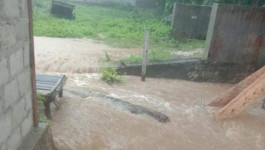 170 Jiwa Terdampak Banjir di Kabupaten Pulau Taliabu