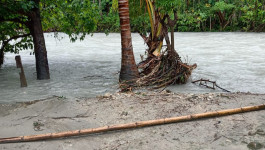 Sebanyak Lima Rumah Rusak Akibat Banjir Melanda Banggai, Sulawesi Tengah