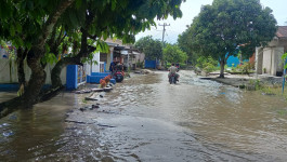 Banjir Rob Rendam 135 Rumah Warga di Batu Bara, Sumatera Utara