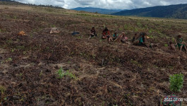 Pemkab Lanny Jaya Aktifkan Posko Tangani Bencana Kekeringan