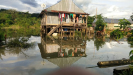 Tanggul Jebol Sebabkan Satu Desa di Konawe Terendam Banjir