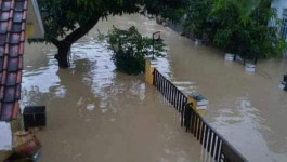 Banjir Merendam 964 Rumah Warga Cirebon