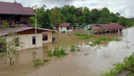 Sebanyak 61 Warga Mengungsi Akibat Banjir di Teluk Bintuni, Papua Barat