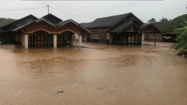 Sebanyak 1.312 Jiwa Terdampak Banjir di Tanah Laut