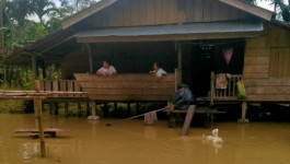 Waspada Wilayah Terdampak Banjir Kabupaten Kepulauan Mentawai Masih Berpeluang Hujan