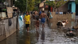 Banjir ROB Rendam 50 Rumah dan 280 Petak Tambak Warga di Bima, Nusa Tenggara Barat