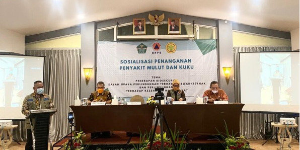 Penanganan PMK: Biosecurity untuk Perlindungan Ternak dan Kesehatan Masyarakat di Wilayah Yogyakarta