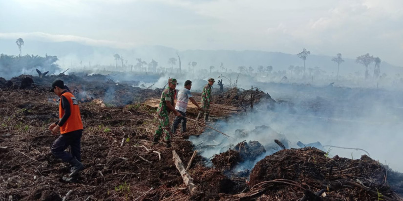 Api Bakar Hutan dan Lahan Beberapa Gampong Aceh Selatan