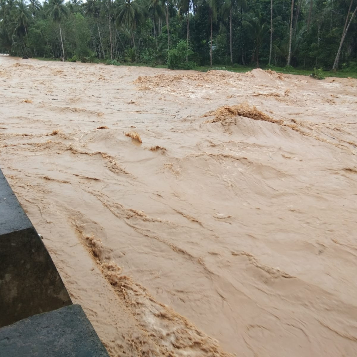 Banjir Rendam Empat Kecamatan di Kabupaten Hulu Sungai Tengah