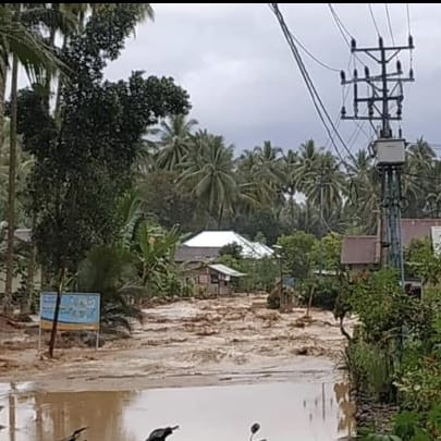 BNPB Lakukan Koordinasi dengan BPBD Tolitoli Pascabanjir Bandang