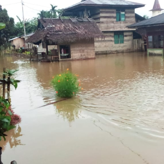 Banjir di Kepulauan Mentawai Surut, Para Pengungsi Kembali ke Rumah