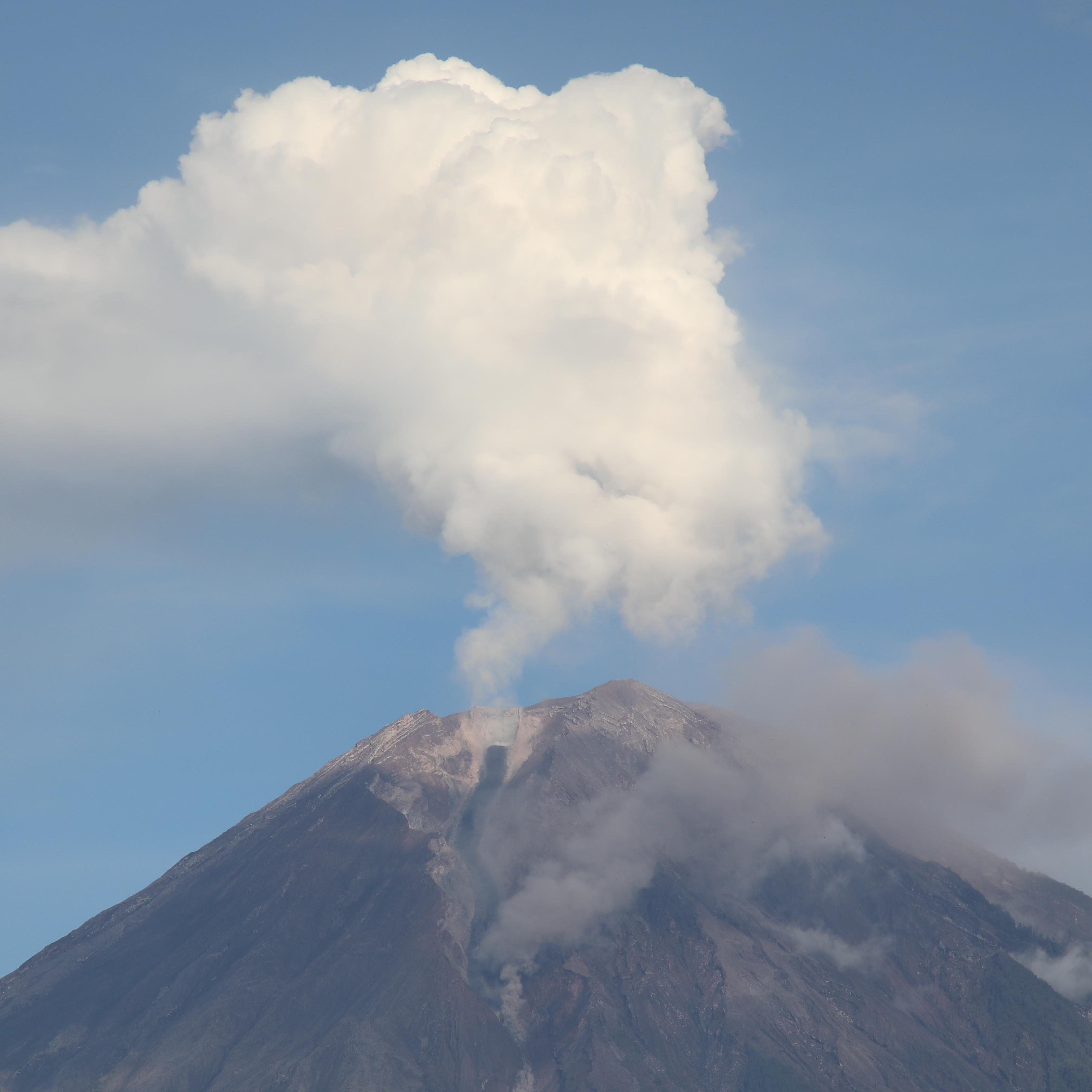 Penanganan Paska Awan Panas Guguran Semeru Memasuki Status Transisi Darurat