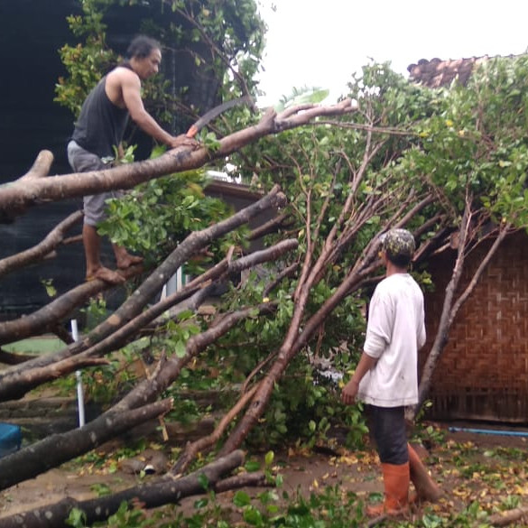 Sebanyak Empat Rumah Warga Madiun Rusak Berat Akibat Angin Kencang