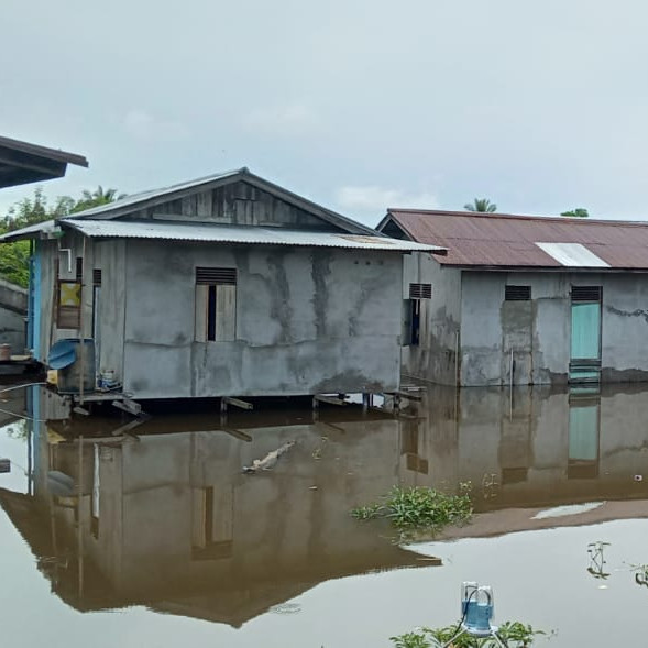 Dipicu Luapan Sungai Kapuas, Sebanyak 1.000 Rumah Warga Sanggau Kalimantan Barat di 5 Kecamatan Terendam Banjir