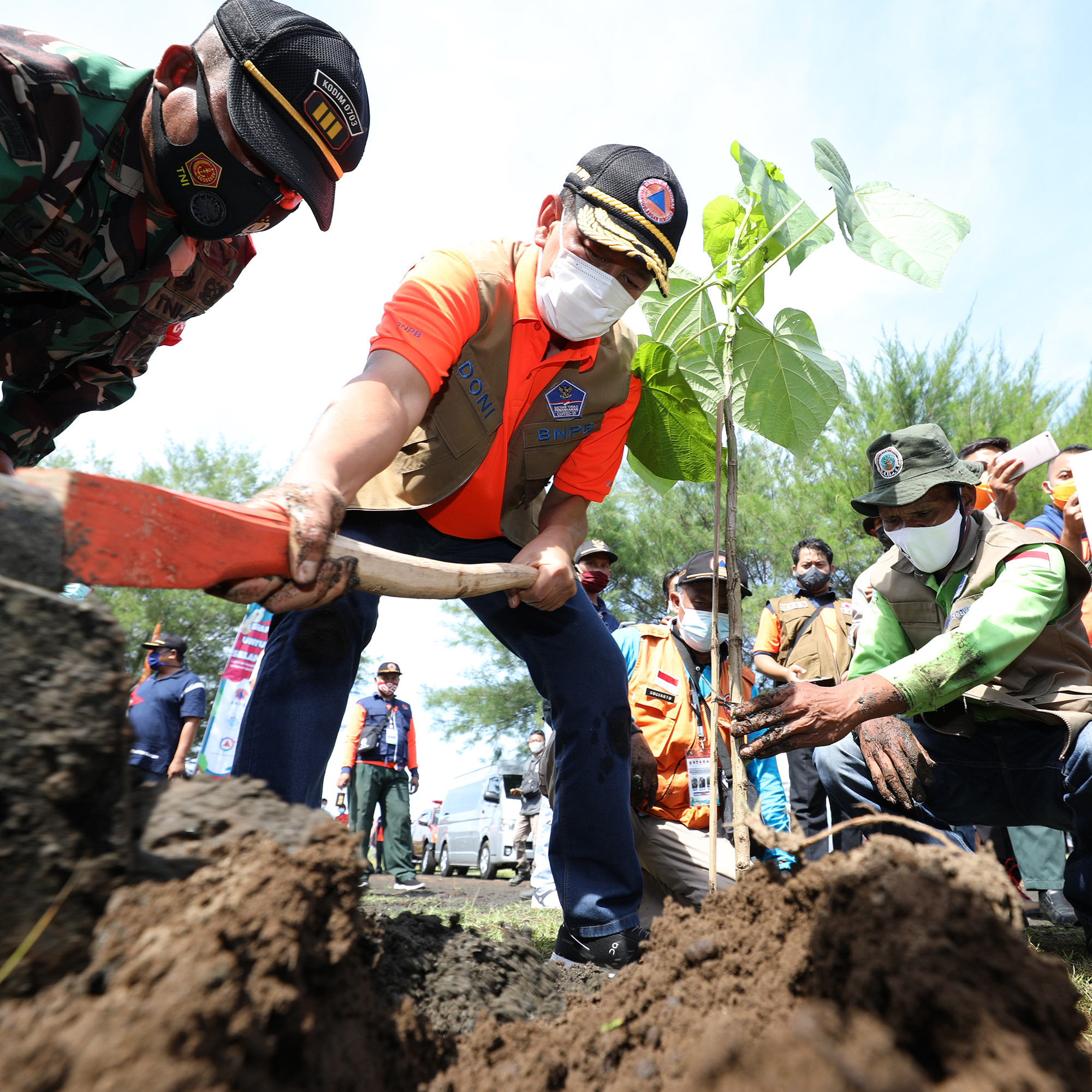 Kepala BNPB Tanam Butun dan Palaka Perkuat Mitigasi Tsunami Selatan Jawa