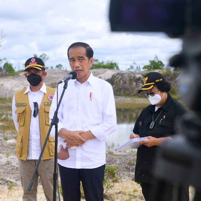 Rehabilitasi Kerusakan Hutan, Presiden Jokowi Tanam Pohon di Area Bekas Tambang