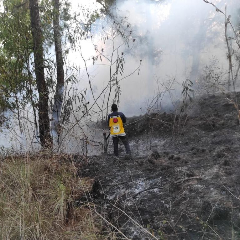 Kebakaran Semak dan Lahan Terjadi di Taman Wisata Alam Gunung Batur Bukit Payang Bangli