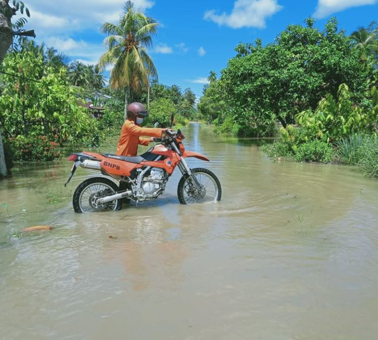 Sebanyak 303 Rumah Warga Luwu Utara Masih Terdampak Banjir